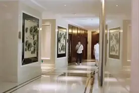 岳母跟准女婿吃饭，哪知桌下却更加热闹，太好玩了视频封面