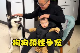 宠物争宠激萌，看到男主抱小主人，狗狗不甘示弱也要抱抱，笑翻了视频封面