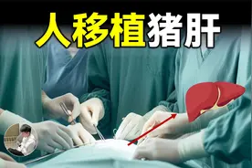 猪肝不仅能吃，还能移植到人体内工作？中国团队最新成果视频封面