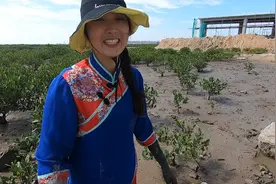 渔妹光脚来泥潭抓货，捡到大鱼和青蟹，这片红树林宝藏太多了视频封面