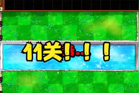 植物大战僵尸杂交版11关通关教程！！！视频封面