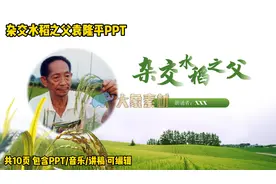杰出人物科学家故事PPT为国家富强而奋斗的杰出人物袁隆平爷爷PPT