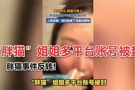 “胖猫”姐姐多平台账号被封，胖猫事件反转！视频封面