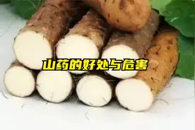 山药的好处与危害视频封面
