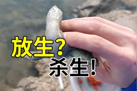 放生台附近都是快死的甲鱼，放生变杀生！缺德到爆！视频封面