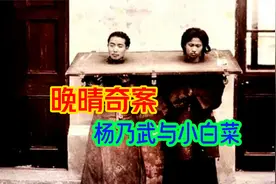 县长姥爷公子强行玷污小白菜，美妇人怕丢人只能忍气吞声视频封面