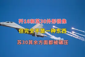歼16和苏30外形很像，但完全不是一种东西，后者其余方面都被碾压视频封面