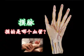 摸脉，摸的是哪个血管呢？