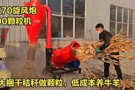大捆干秸秆做颗粒行不行？养牛羊帮养殖户测试：70旋风炮+300型视频封面