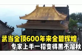 武当金殿的雷火炼殿，历经600年的奇观，专家的神操作让他消失了视频封面