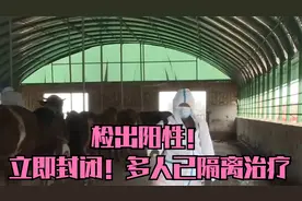 阳谷县发现牛感染炭疽病例？多部门介入疾控：确有病例正在调查视频封面