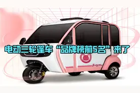 电动三轮篷车“品牌榜前5名”来了，上牌有资质，可以“闭眼入”视频封面