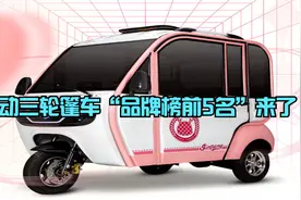 电动三轮篷车“品牌榜前5名”来了，上牌有资质，可以“闭眼入”