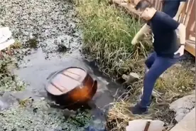 盘点逗比突然爆笑大全