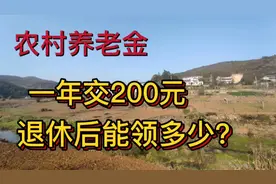 农村养老保险一年交200,60岁后能领多少呢？还能提升吗视频封面