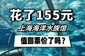 花了155元参观上海海洋水族馆，我值回票价了吗？（中篇）