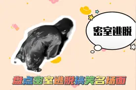 盘点密室逃脱搞笑名场面，玩家竟然反客为主，把NPC都吓趴了视频封面