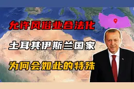 “风俗产业”合法化，土耳其作为伊斯兰国家，为何会如此的特殊？视频封面