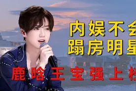 内娱绝不会塌房的明星，鹿晗王宝强上榜，刘德华绝对能粉一辈子视频封面