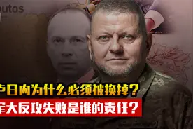 乌克兰大反攻失败与扎卢日内被解职的真相，泽连斯基的无知与算计视频封面