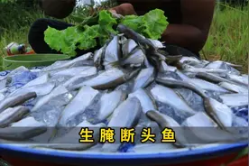 越南大基哥独特烹饪生腌断头鱼：野外美食探险新篇章秘境绝味！