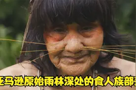 亚马逊原始雨林深处的食人族部落，他们靠吃鳄鱼肉涂抹毒液来狩猎视频封面