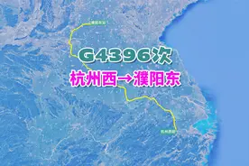 G4396次列车（杭州西→濮阳东），全程1139公里，历时6小时52分