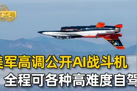 美军高调公开AI战斗机，全程各种高难度自驾，可取代人类飞行员？视频封面