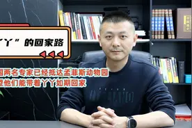 国内专家抵达孟菲斯动物园，正在开展工作，希望丫丫能尽快回国视频封面