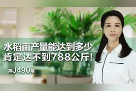 水稻亩产量一般能达到多少？肯定没有788公斤！