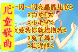 0到3岁宝宝早教儿歌<一闪一闪亮晶晶儿歌><白龙马><小毛驴>视频封面