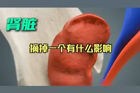 被嘎掉一个腰子，身体会有什么影响？视频封面