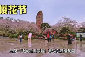 紧邻武汉樱花园的梅园东停车场，24小时14元封顶外地车的首选视频封面
