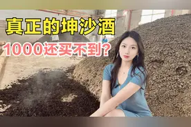 真正的大曲坤沙酱香酒，低于1000很难买到？酒厂老板道破行业秘密视频封面