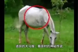 诡异的大马猴：蔡徐村的神秘传说视频封面