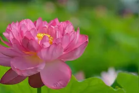 宏圆法师：什么是常住僧物？视频封面