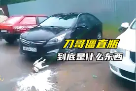 刀哥僵直瓶是什么东西？今天终于知道了