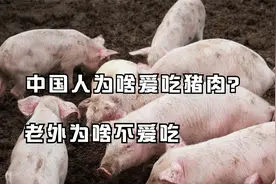 平均每年吃七亿头猪，猪肉这种美食，为啥只有中国人那么爱吃？视频封面