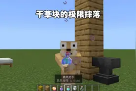 我的世界：干草块的极限摔落视频封面