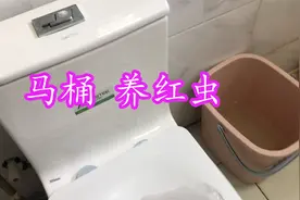 丝袜装红虫 丢进马桶里 此法甚秒啊视频封面