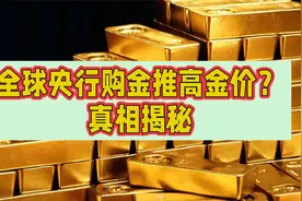 央行购金推动金价上涨？背后真相揭秘视频封面
