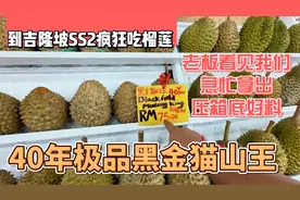 吉隆坡SS2疯狂吃榴莲，老板拿出压箱底好料，40年极品黑金猫山王视频封面