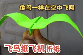 飞鸟纸飞机你会折吗？可以像鸟一样在天空飞翔视频封面