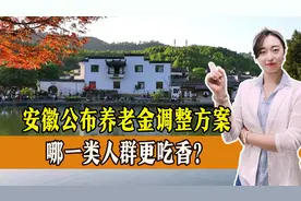 安徽省养老金调整方案出炉，两项标准下调，哪一类人群更吃香？