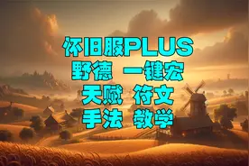 魔兽世界怀旧服觉醒PLUS野德一键宏天赋符文手法输出教学视频封面