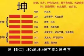 易经 坤 【卦二】 坤为地 坤上坤下视频封面