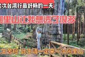 台湾行最舒畅的一天，阿里山让我想透了很多，此生定要来次阿里山视频封面