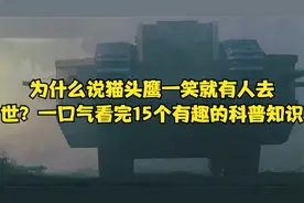 为什么说猫头鹰一笑就有人去
世？一口气看完15个有趣的科普知识视频封面