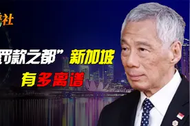 新加坡有多离谱？号称“罚款之都”，不冲厕所要罚800元！视频封面