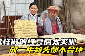 这霉豆腐发酵的太漂亮了，用传统方法做成红豆腐，放一年都不会坏